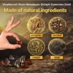 Shilajit Thumbnail